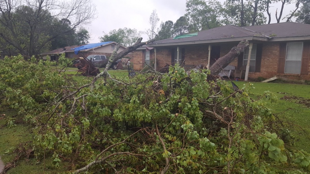 storm wind damage cleanup toronto storm wind damage cleanup toronto